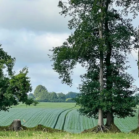 Le D'orezza * Valliquerville